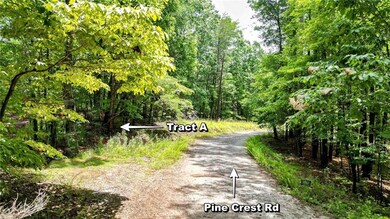 47 AC Pine Crest Rd, Jasper, GA 30143 - photo 2