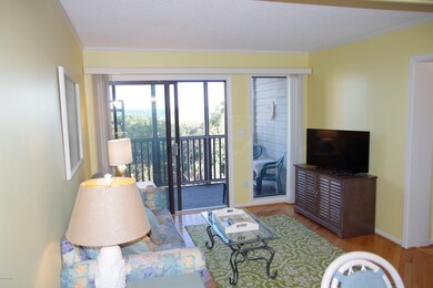 2509 W Fort MacOn Rd unit B-204, Atlantic Beach, NC 28512 - photo 3