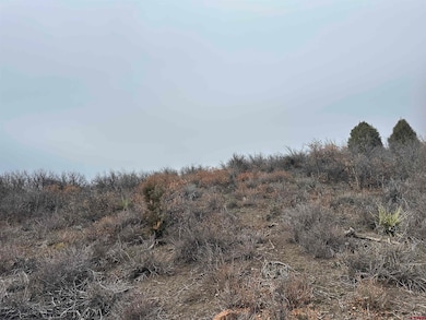 248 Jennifer's Place, Pagosa Springs, CO 81147 - photo 4