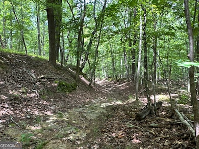 0 Super Deluxe Rd unit 10594088, Rockmart, GA 30153 - photo 7