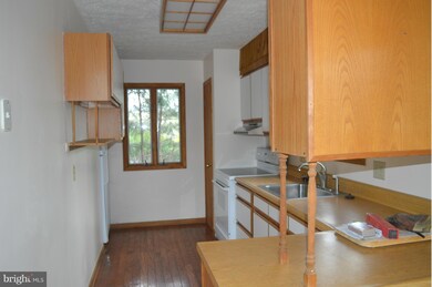 9 Forrest St, Basye, VA 22810 - photo 5