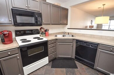 42 Pond View Dr unit 16, Pawleys Island, SC 29585 - photo 2