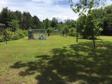 Large yard (002)