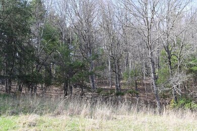 DSC_0053 (800x533)