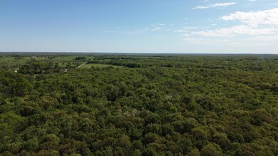 55600 E 319 Trail, Jay, OK 74346 - photo 3