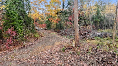 dji_fly_20251021_112812_0075_17610605162