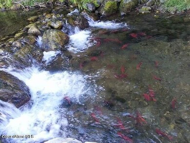 Granite Creek 6