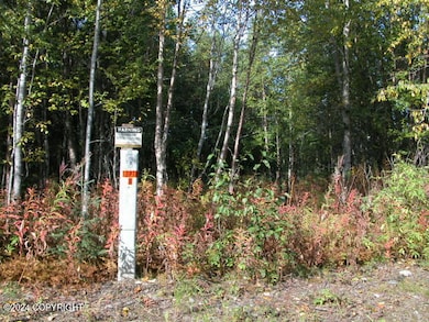 Island Lake Lot (3)