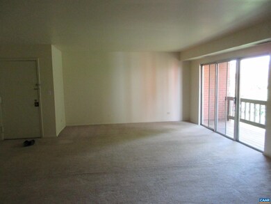 1215 Wertland St unit B43, Charlottesville, VA 22903 - photo 4