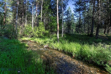 5600 Spring Mountain Rd, Florence, MT 59833 - photo 4