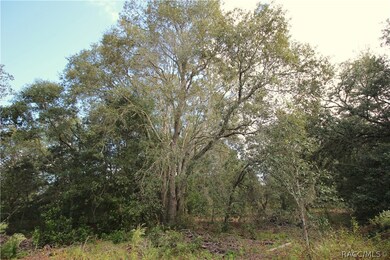 4344 N Indianhead Rd, Hernando, FL 34442 - photo 4