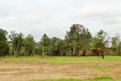 11.35ac Buddy Finch Rd, Lucedale, MS 39452 - photo 5