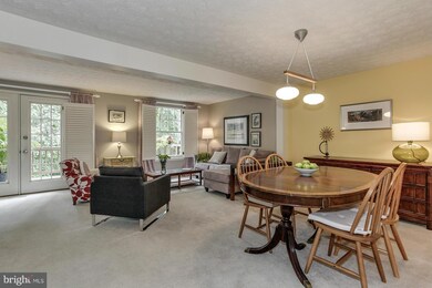 541 Bay Dale Ct unit 26, Arnold, MD 21012 - photo 6