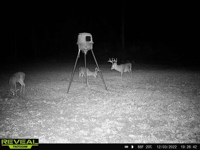 38 Holstead Rd, Natchez, MS 39120 - photo 5