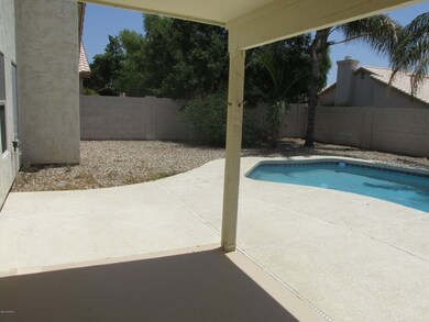 patio and rear yard