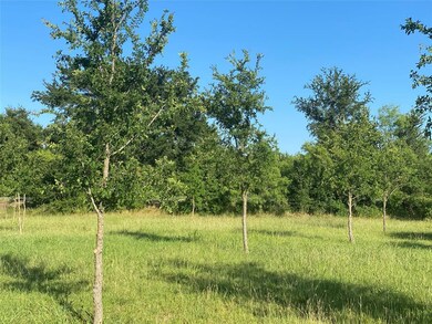 7270 Old Millsap Rd, Millsap, TX 76066 - photo 5