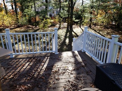 7 Marshall Ave, Natick, MA 01760 - photo 5