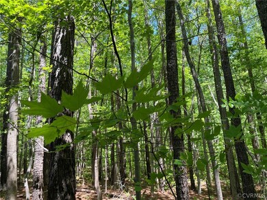 00 K-V Rd, Lunenburg, VA 23944 - photo 4