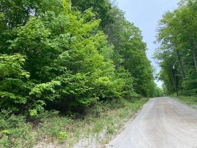 Map 41 Lot Grandview Dr, Limerick, ME 04048 - photo 2