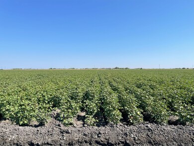 N Ave unit E. of San Pedro Cana, Los Banos, CA 93635 - photo 3