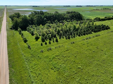 TBD 60th St, East Chain Township, MN 56013 - photo 2