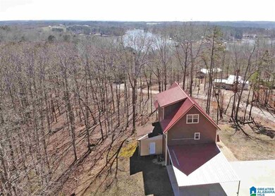 135 Swagg Cove Rd, Wedowee, AL 36278 - photo 4