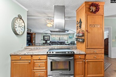7050 Platt Springs Rd, Lexington, SC 29073 - photo 7