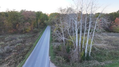 V/L 136th St, Sand Lake, MI 49343 - photo 4