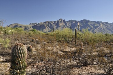 Looking North - Santa Catalina Mountains