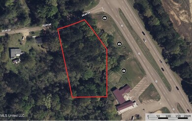 0 Dear Dr, Mendenhall, MS 39114 - photo 7