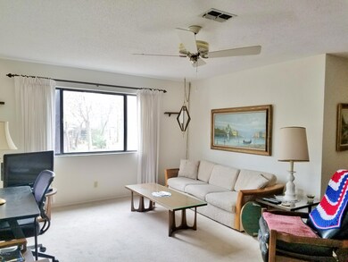 lots of natural light living room