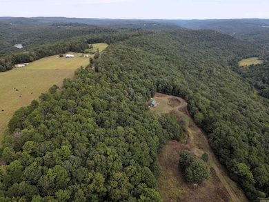 5463 Lo Gap Rd, Clinton, AR 72031 - photo 5