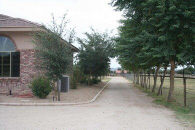 West side - tree lined path