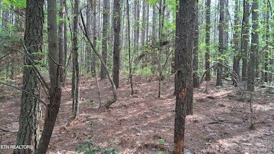 Lot 14 Airport Rd (Pca), Rockwood, TN 37854 - photo 2