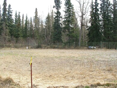 Arena Area