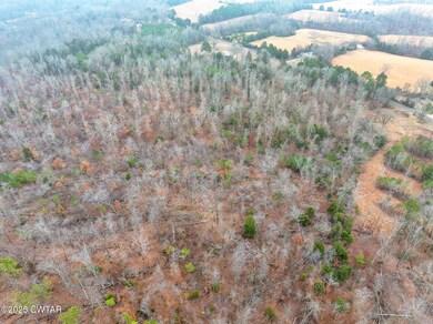 DJI_20250204113316_0058_D