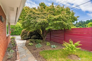 Beautiful yard with mature plants!