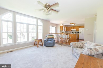 7518 Patterson Ct, Sykesville, MD 21784 - photo 5