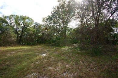 Drainage easement in the back