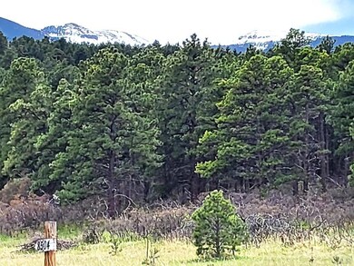 Just in the shadow of the Majestic Greenhorn Mount
