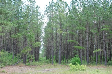 0000000000 Mill Creek SE, Bolivia, NC 28422 - photo 3