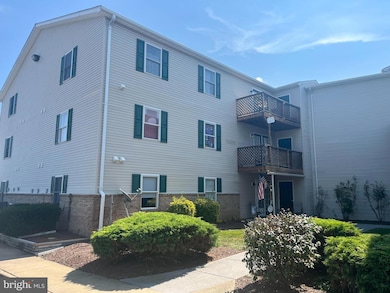 105 D-1 Hailey Ln, Strasburg, VA 22657 - photo 3