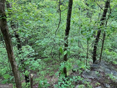 0 Paris Mountain Rd unit 10295245, Rockmart, GA 30153 - photo 3