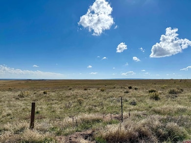 TBD Lot 1 C R 116, Hesperus, CO 81326 - photo 5