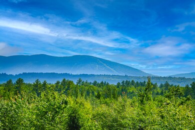 468 Upper Ridge Rd, Bridgton, ME 04009 - photo 4