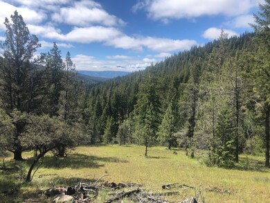 0 Hwy 26 unit 220148254, Mount Vernon, OR 97865 - photo 4