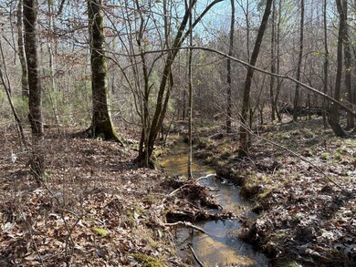 TBD Girlinghouse Rd, Jena, LA 71342 - photo 6