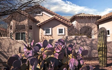 1 FRONT CACTUS_5483