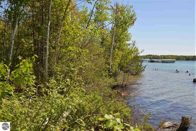 0 Rivershore Dr, Elk Rapids, MI 49629 - photo 6