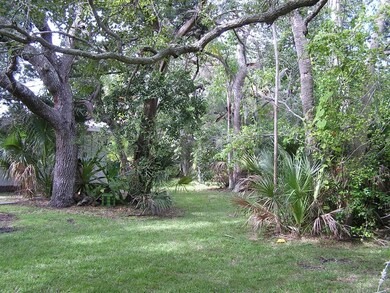 Back Yard 3